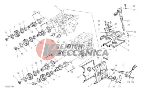 CYLINDER HEAD - TIMING SYSTEM