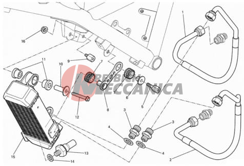 OIL COOLER