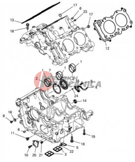 HALF-CRANKCASES PAIR
