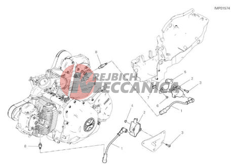 WIRING HARNESS (COIL)
