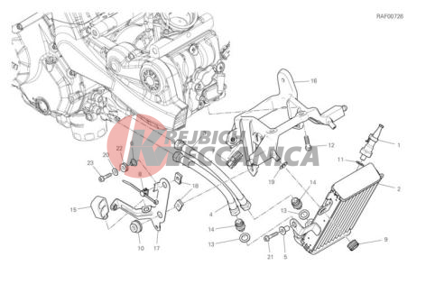 OIL COOLER