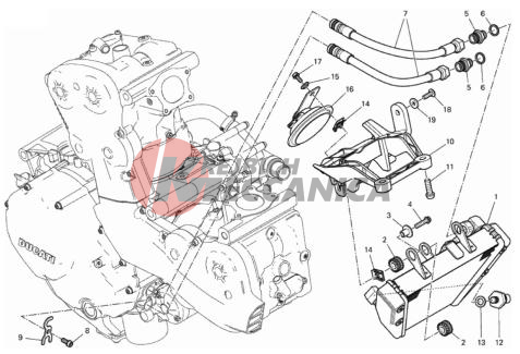 OIL COOLER