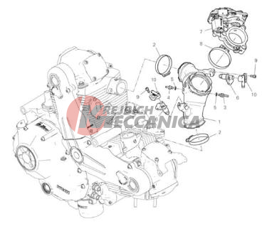 THROTTLE BODY