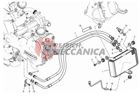 OIL COOLER