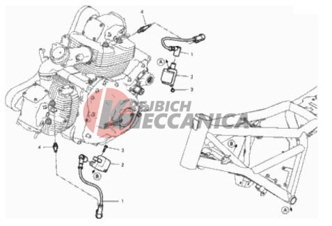 WIRING HARNESS (COIL)