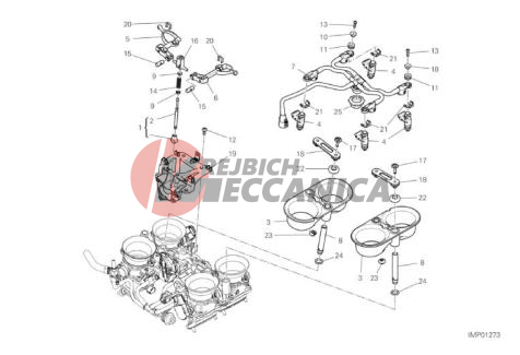 THROTTLE BODY