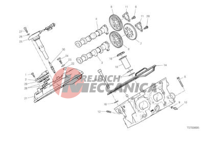 REAR HEAD - TIMING SYSTEM