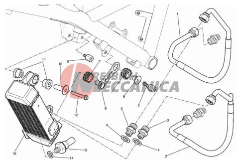 OIL COOLER