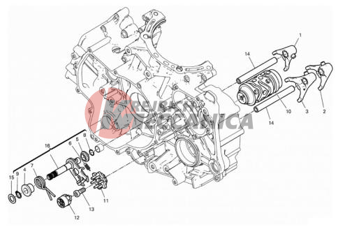 SHIFT CAM - FORK