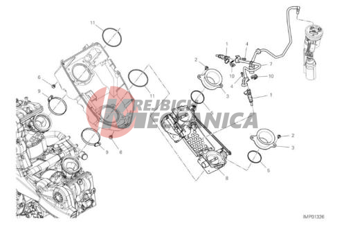 THROTTLE BODY