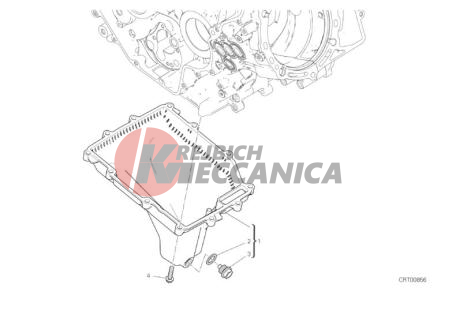 OIL PAN