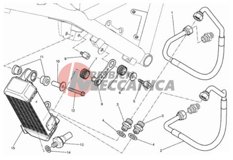 OIL COOLER