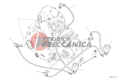 WIRING HARNESS (COIL)