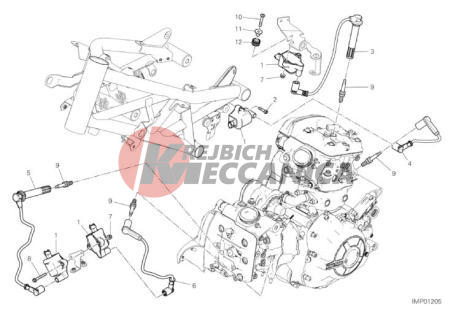 WIRING HARNESS (COIL)