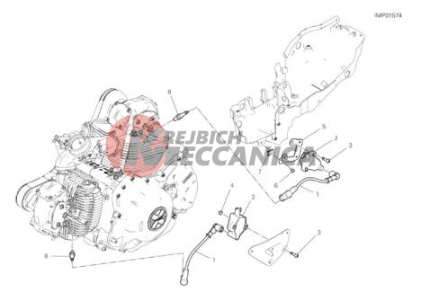 WIRING HARNESS (COIL)
