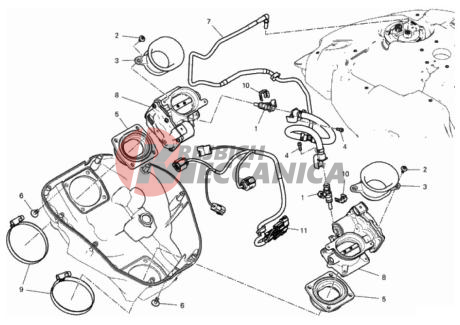 THROTTLE BODY