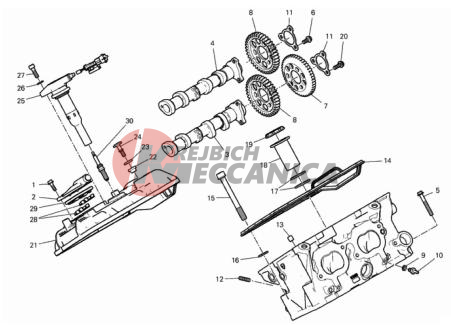 REAR HEAD - TIMING SYSTEM