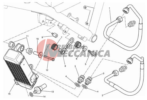 OIL COOLER