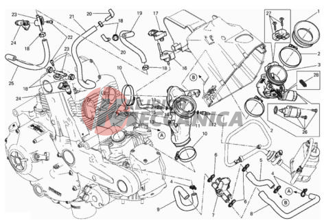 THROTTLE BODY