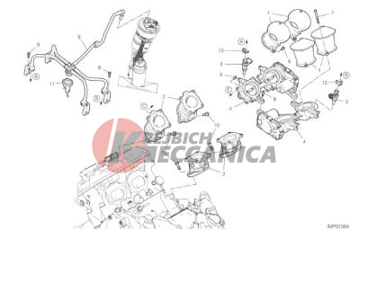 THROTTLE BODY