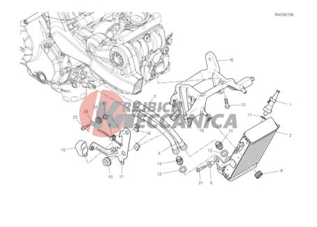 OIL COOLER