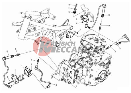 WIRING HARNESS (COIL)