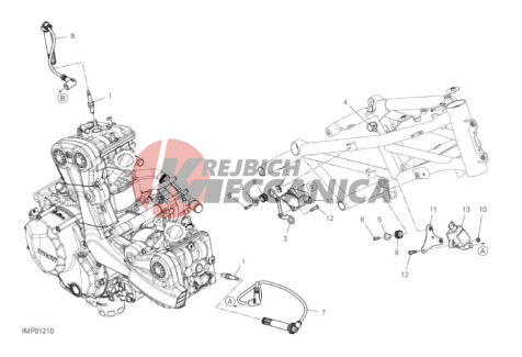 WIRING HARNESS (COIL)