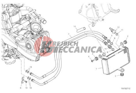 OIL COOLER