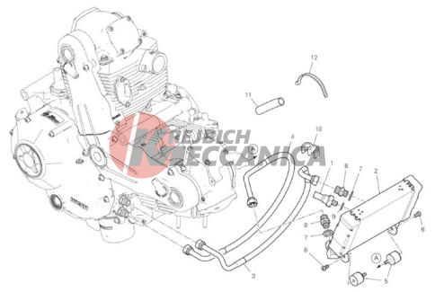 OIL COOLER