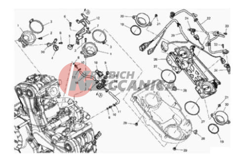 THROTTLE BODY