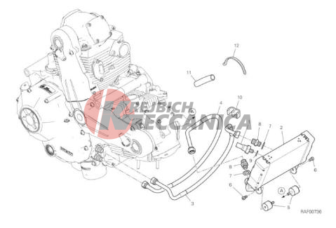 OIL COOLER
