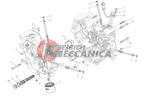 HALF-CRANKCASES PAIR