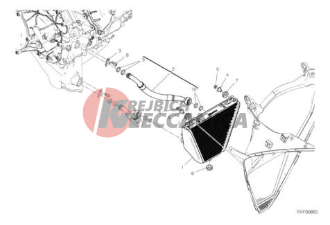 OIL COOLER