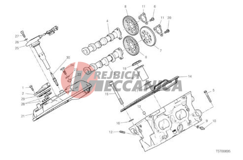 REAR HEAD - TIMING SYSTEM