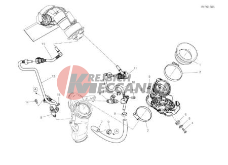 THROTTLE BODY