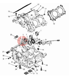HALF-CRANKCASES PAIR