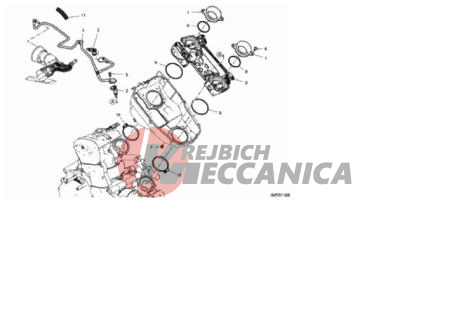 THROTTLE BODY