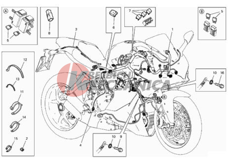 WIRING HARNESS