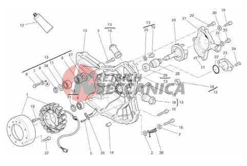 ALTERNATOR COVER  WATER PUMP