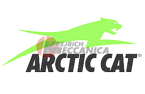 Arctic Cat