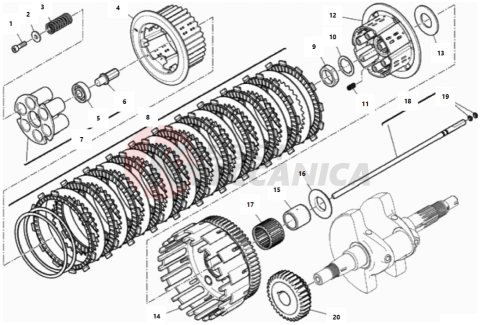 CLUTCH (APTC)