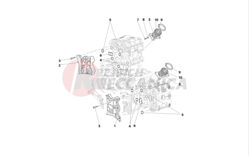 COLLECTORS AND HEAD COVERS