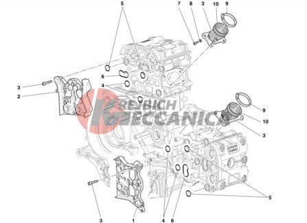 COLLECTORS AND HEAD COVERS