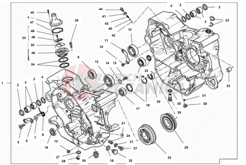 COMPLETE HALF-CRANKCASES PAIR