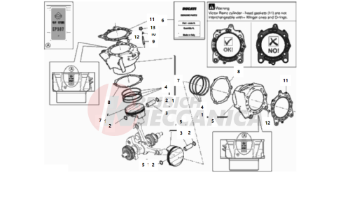 CYLINDERS - PISTONS (ASSO WERKE)