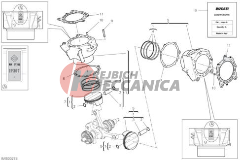 CYLINDERS - PISTONS (ASSO WERKE)