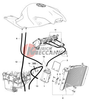 Carbon Canister Assembly Dragster