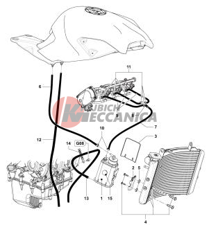 Carbon Canister Assembly