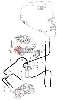 Carbon Canister Assembly