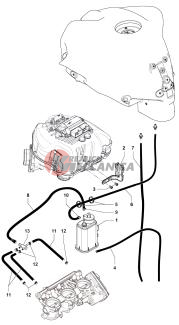 Carbon Canister Assembly